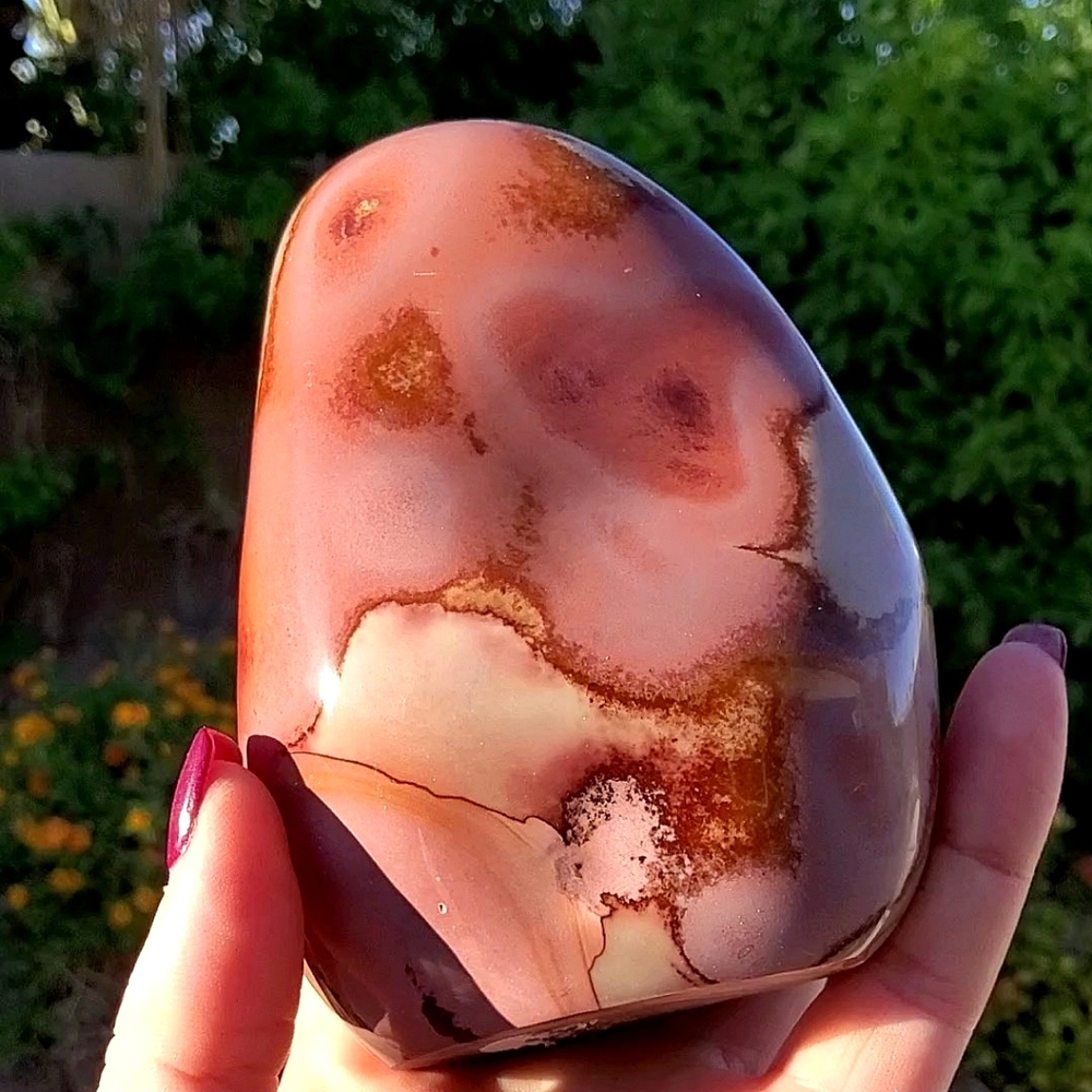 Stunning Rare Daliesque Polychrome Jasper Free Form